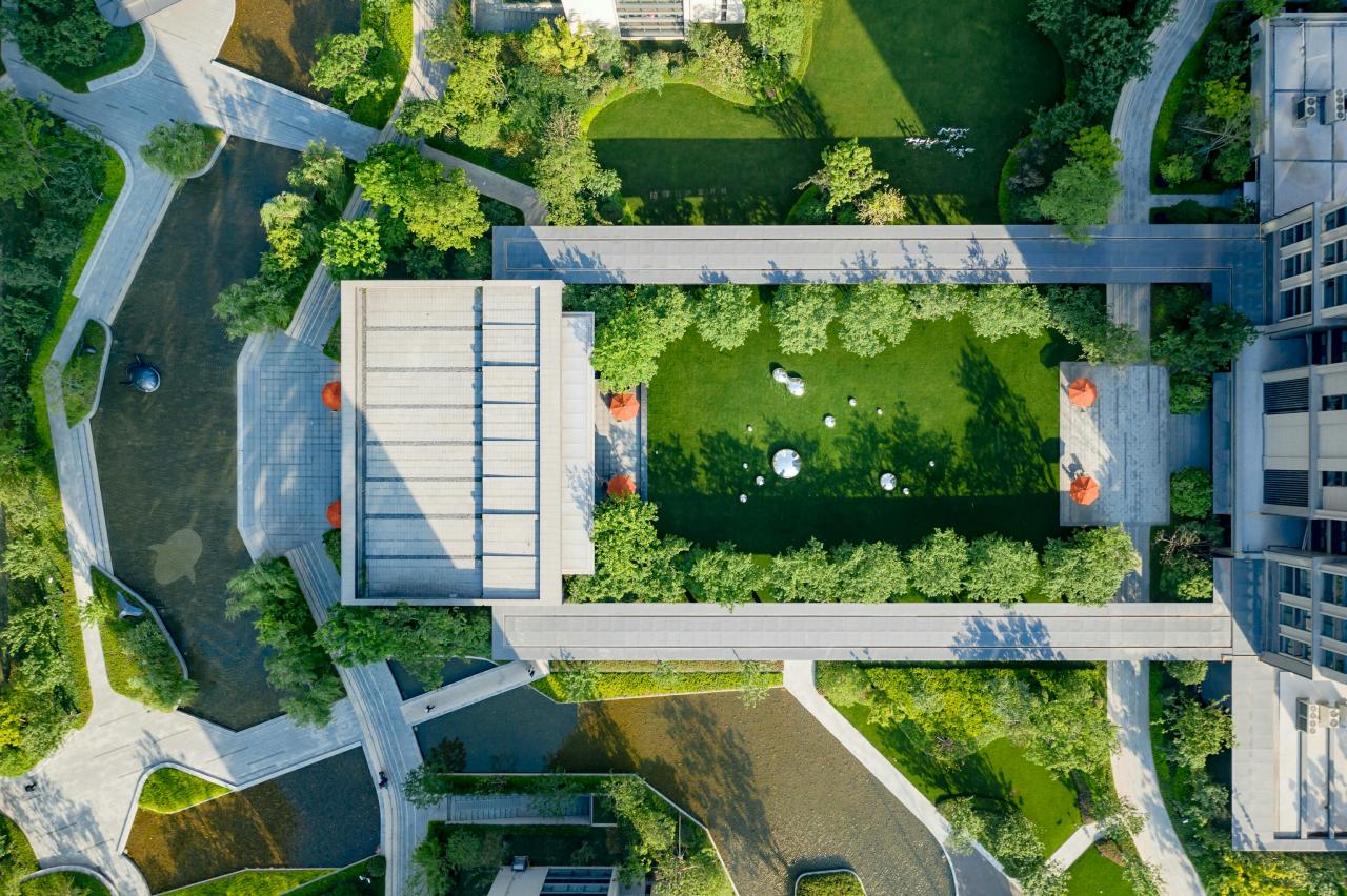 Pemandangan udara pohon dan tanaman hijau